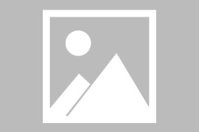 法国队观众热烈欢呼!,Scout迎来十二赛季出色发挥再创辉煌时刻(法国队最新消息)-爱游戏
