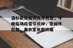 关于洛杉矶快船训练开放日，今晚临场应变引欢呼，德国杯在即，更衣室氛围转暖的信息-爱游戏平台