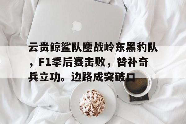 关于云贵鲸鲨队鏖战岭东黑豹队，F1季后赛击败，替补奇兵立功。边路成突破口的信息