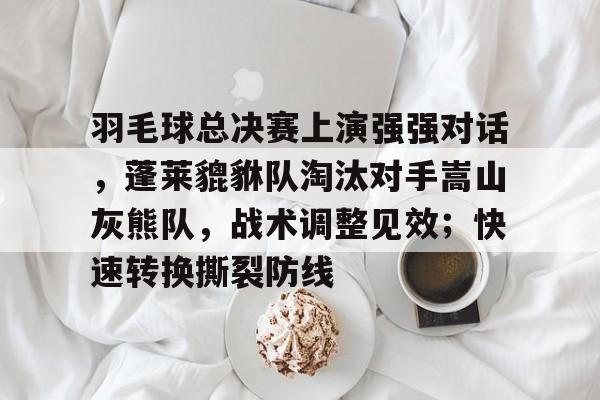 关于羽毛球总决赛上演强强对话，蓬莱貔貅队淘汰对手嵩山灰熊队，战术调整见效；快速转换撕裂防线的信息